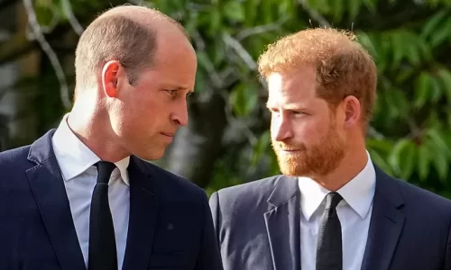 Le prince Harry accuse son frère William de l’avoir attaqué physiquement en 2019: “Il m’a fait tomber par terre”