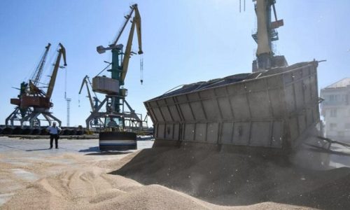 Un navire transportant plus de 60 000 tonnes de céréales russes arrive en Égypte