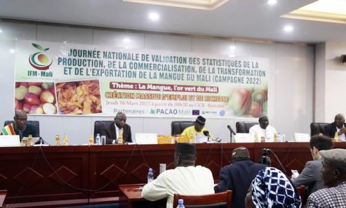 Filière mangue au Mali : la campagne 2022, à l’heure du bilan