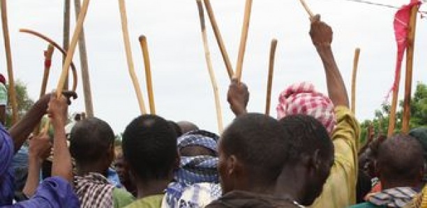 Kaffrine : deux morts dans des affrontements entre éleveurs et agriculteurs