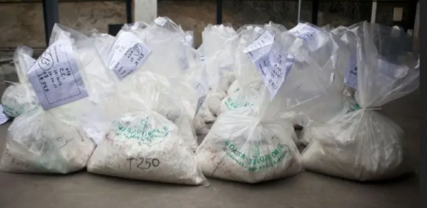 Trafic de cocaïne, blanchiment… : le film de la chute du «Capo» de Ouagou Niayes avec ses lieutenants dont quatre dames