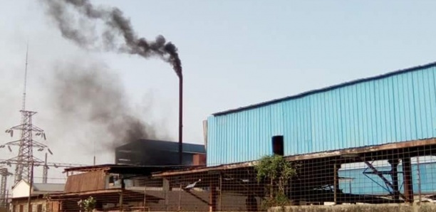 “Les décès inexpliqués se multiplient” : L’usine d’engrais de Ndande Sylla fait des ravages, selon le FRAPP